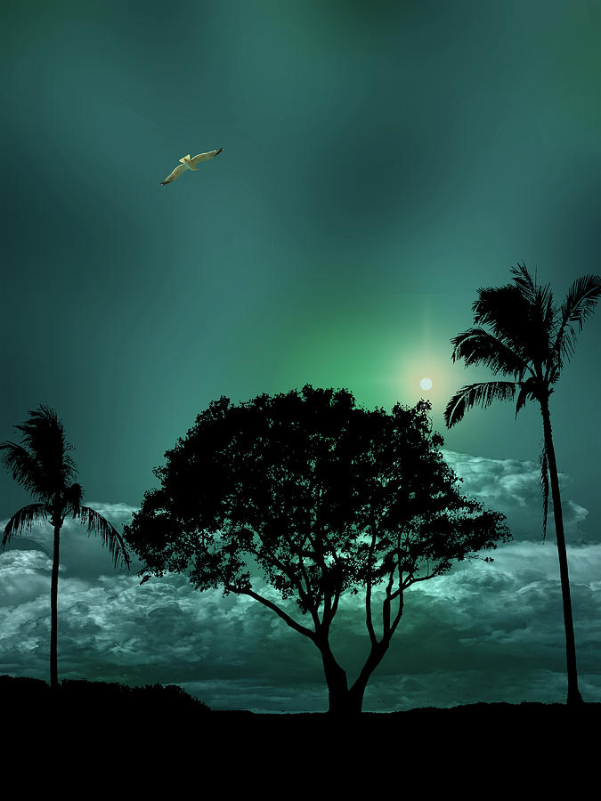 4420 Photograph by Peter Holme III