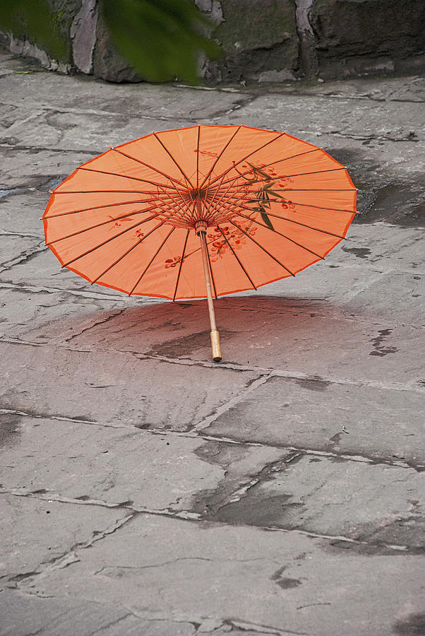 Umbrella Photograph - 4440- Umbrella by David Lange