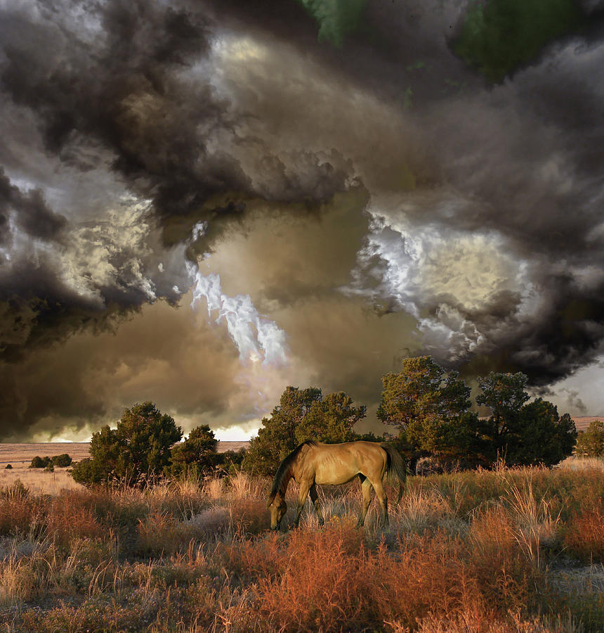 4486 Photograph by Peter Holme III