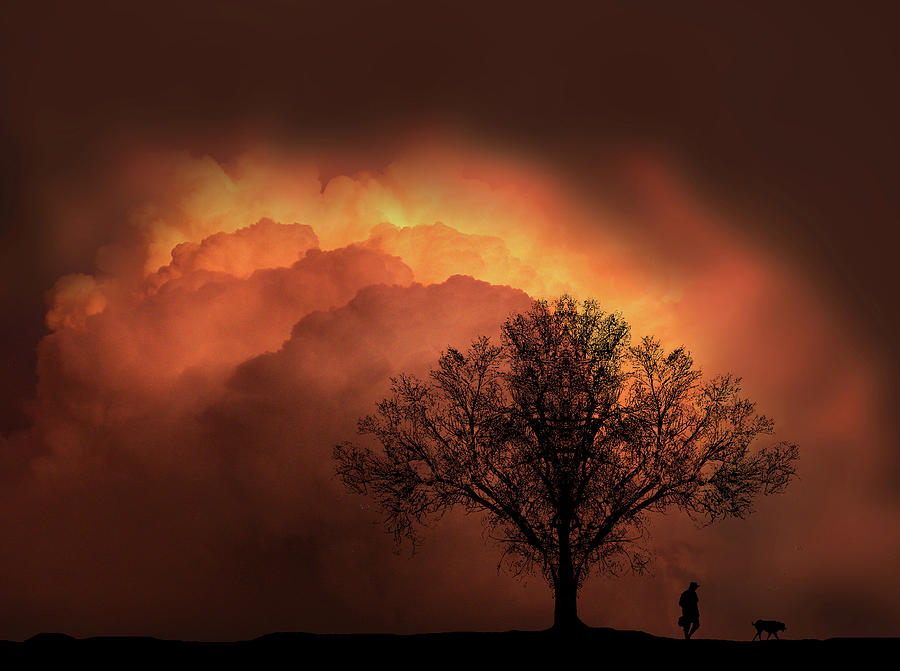 4491 Photograph by Peter Holme III