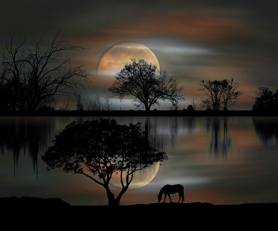 4493 Photograph by Peter Holme III