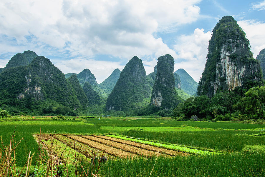 Karst mountains and  rural scenery #45 Photograph by Carl Ning