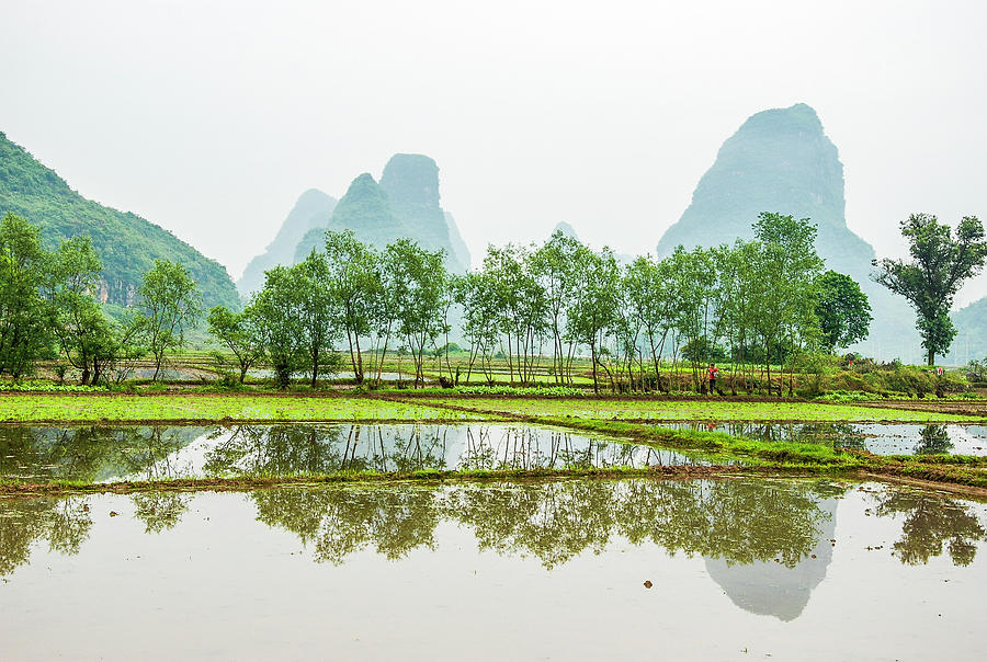 Karst rural scenery in spring #45 Photograph by Carl Ning