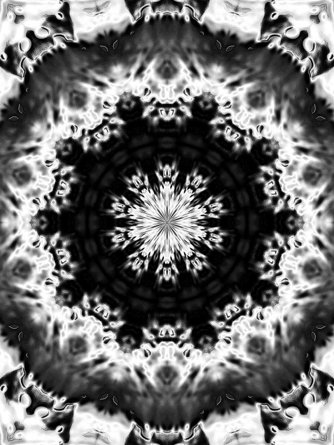 Snowflake #45 Digital Art by Belinda Cox
