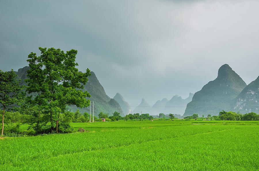 The beautiful karst rural scenery #45 Photograph by Carl Ning