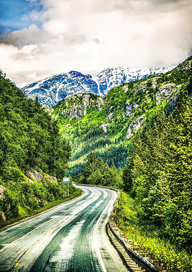 White Pass Mountains In British Columbia #45 Photograph by Alex Grichenko