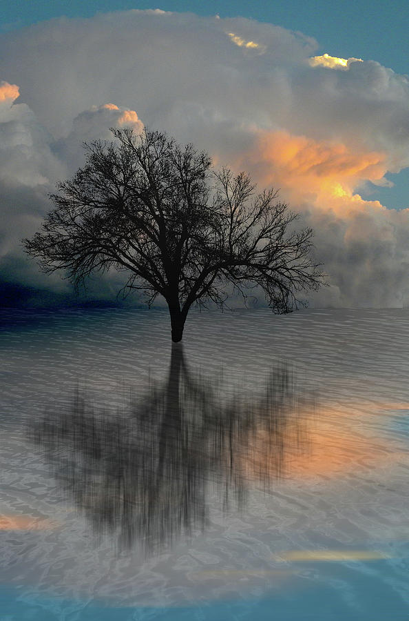 4507 Photograph by Peter Holme III