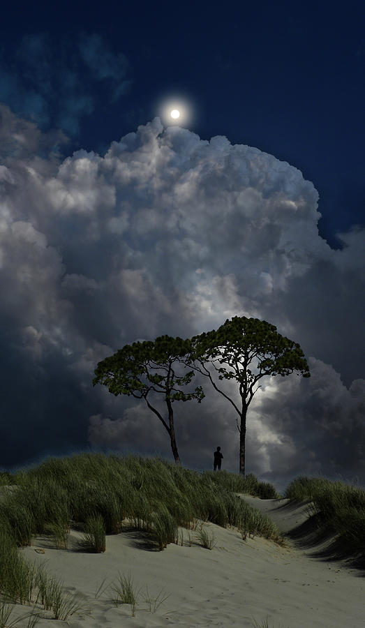 4515 Photograph by Peter Holme III