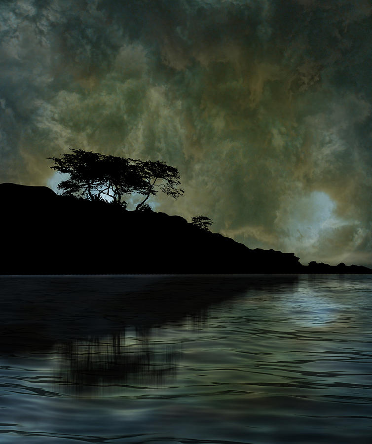 4543 Photograph by Peter Holme III