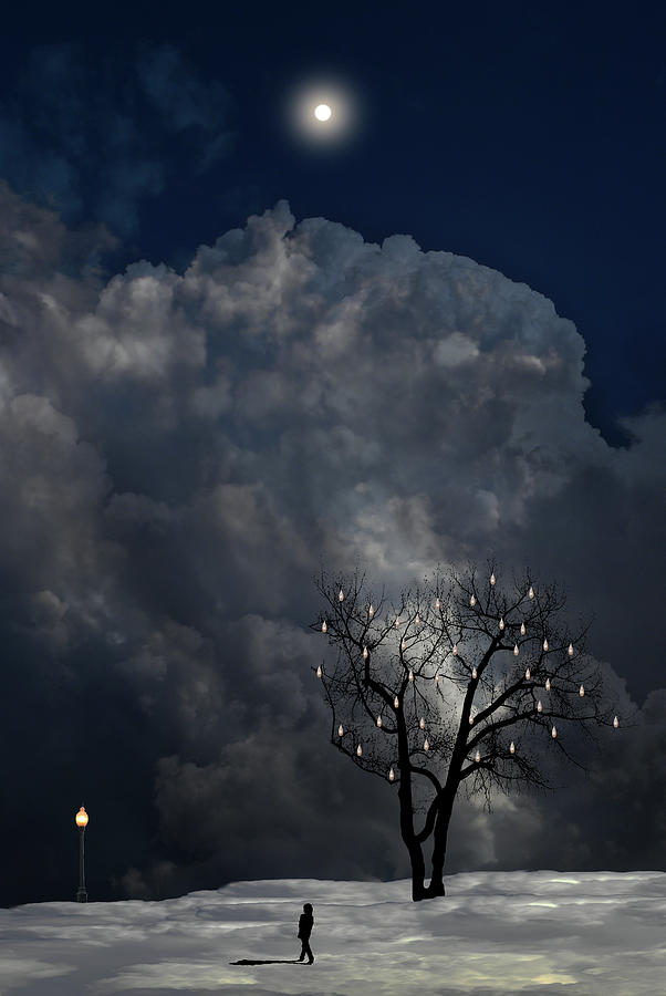 4555 Photograph by Peter Holme III