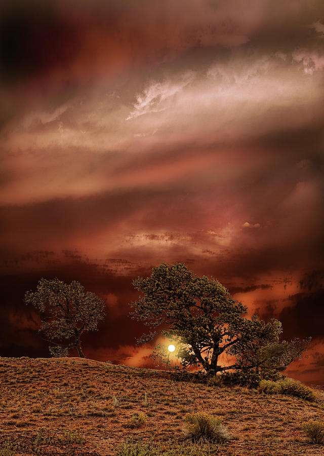 4578 Photograph by Peter Holme III