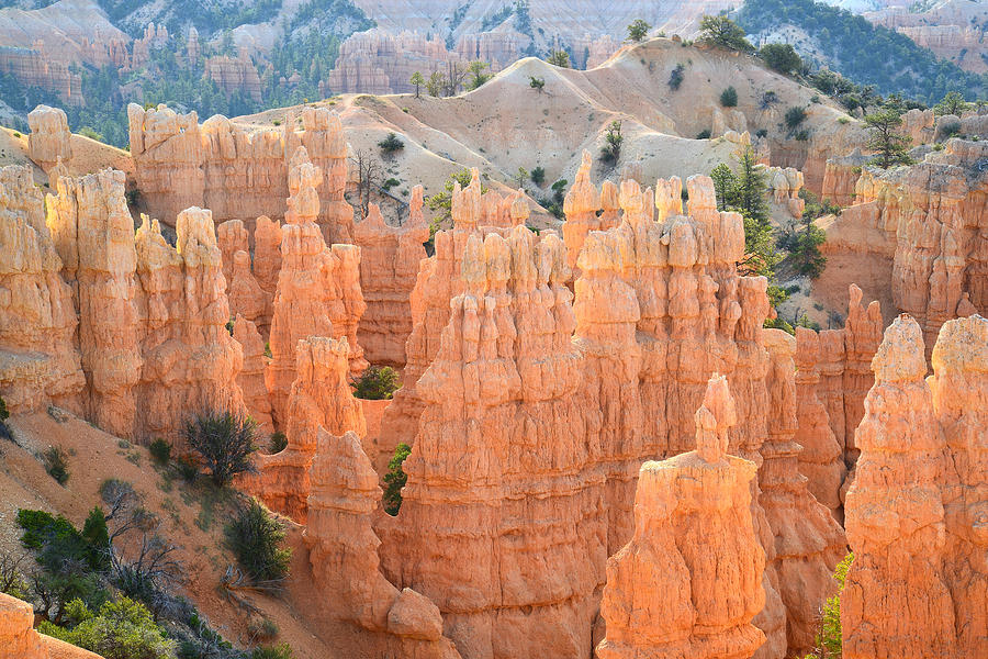 Fairyland Canyon #44 Photograph by Ray Mathis