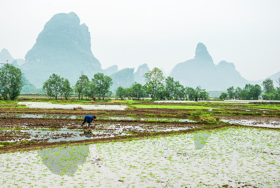 Karst rural scenery in spring #46 Photograph by Carl Ning