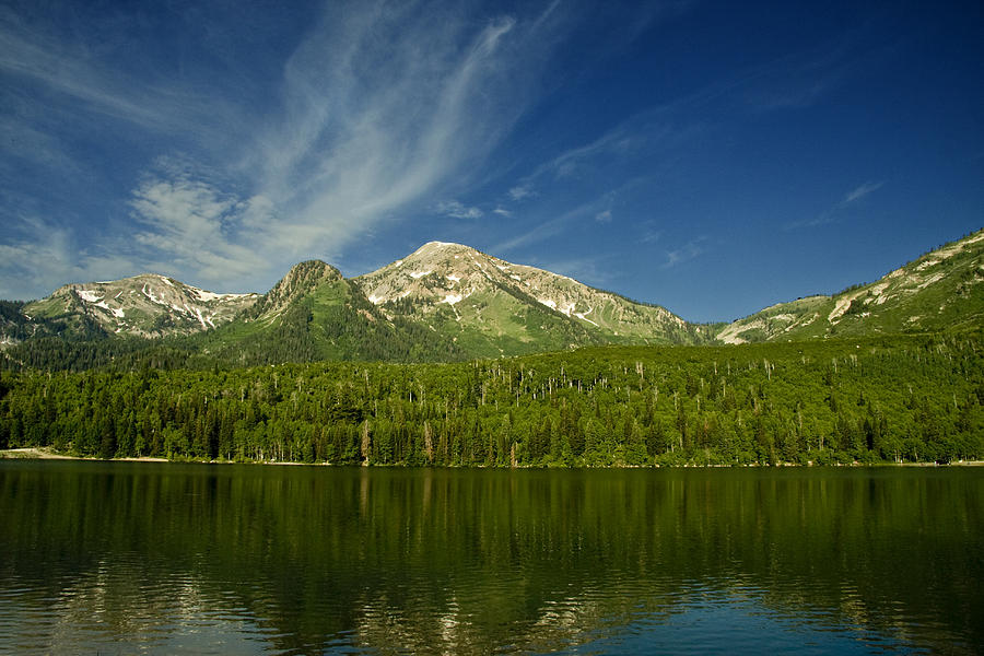 Mountain Lake #46 Photograph by Mark Smith
