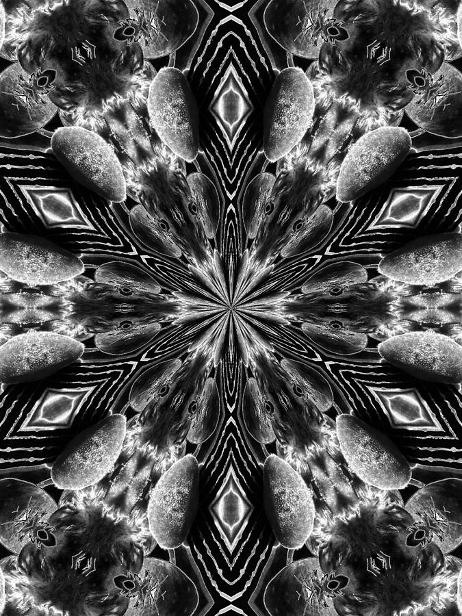 Snowflake #46 Digital Art by Belinda Cox
