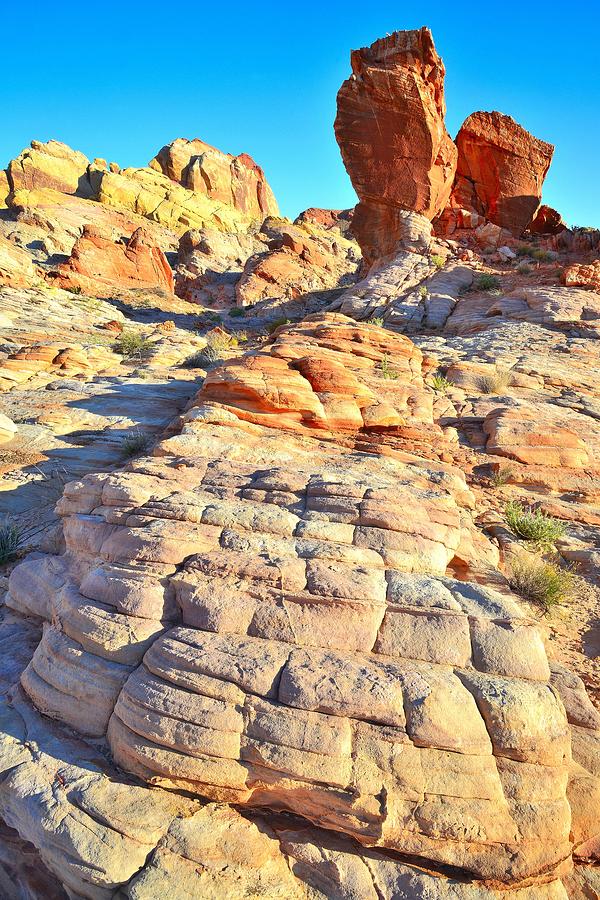 Valley of Fire #605 Photograph by Ray Mathis