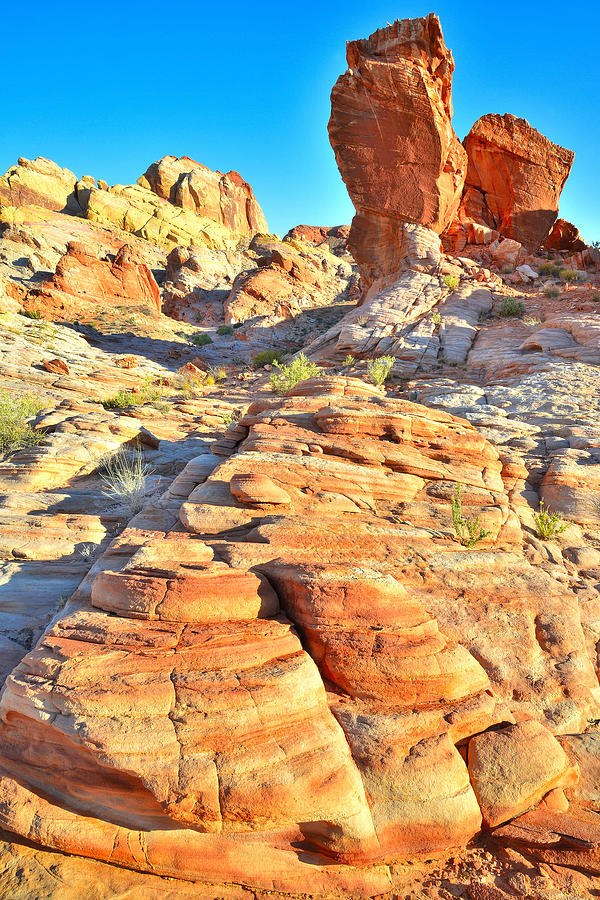 Valley of Fire #37 Photograph by Ray Mathis