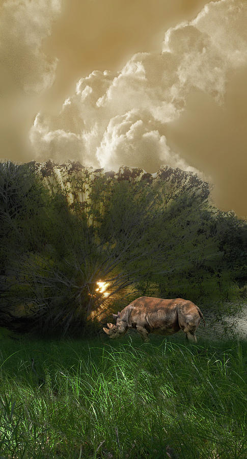 4628 Photograph by Peter Holme III