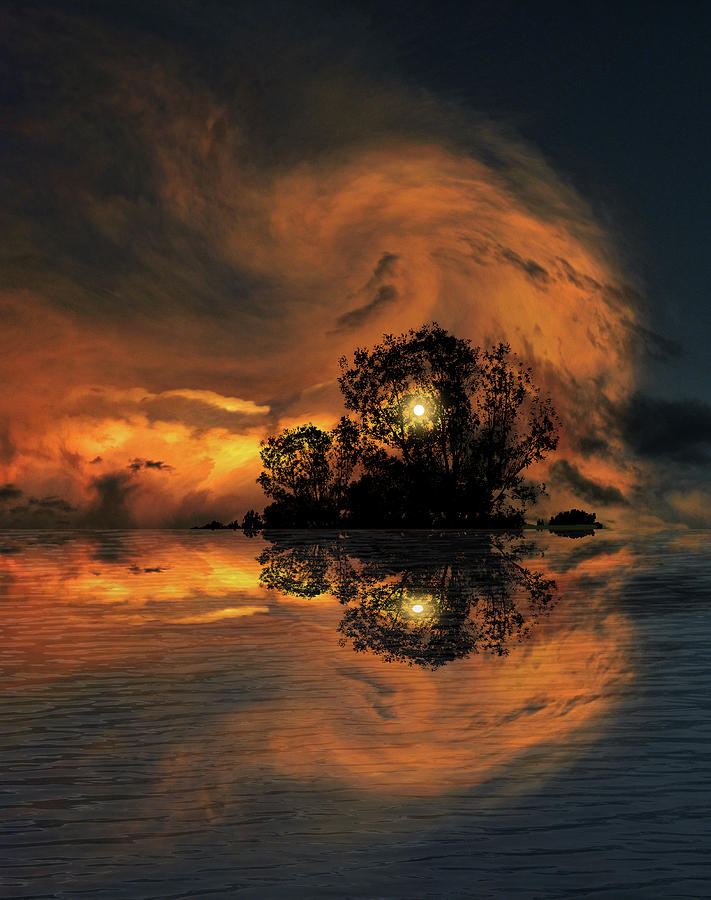 4641 Photograph by Peter Holme III