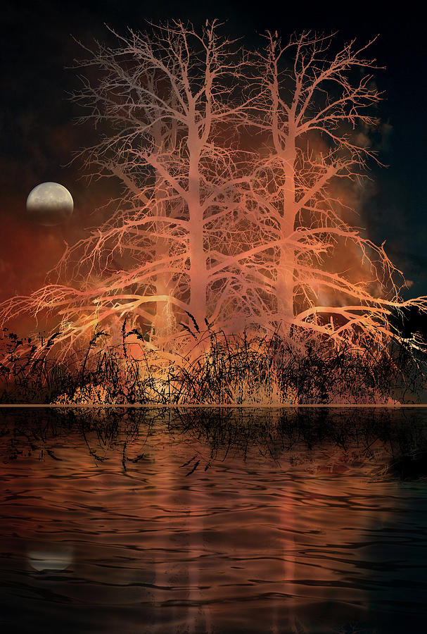 4651 Photograph by Peter Holme III