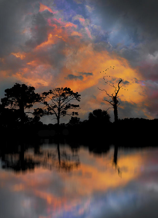 4659 Photograph by Peter Holme III