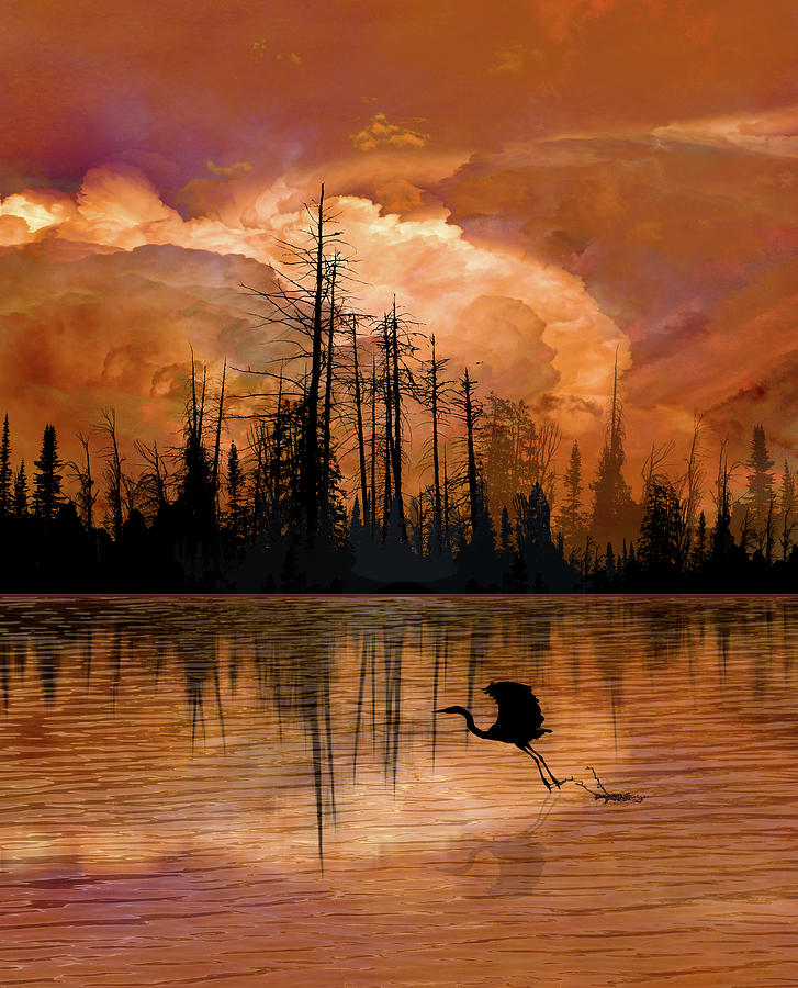 4660 Photograph by Peter Holme III