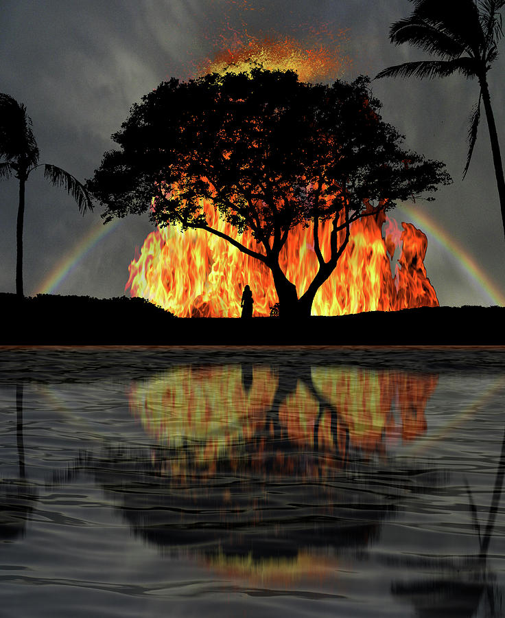 4666 Photograph by Peter Holme III