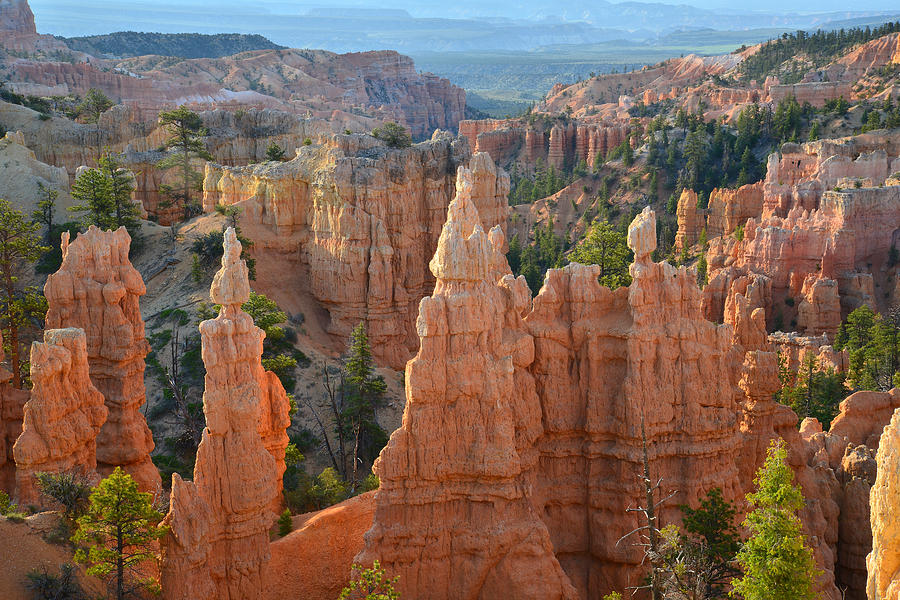 Fairyland Canyon #32 Photograph by Ray Mathis