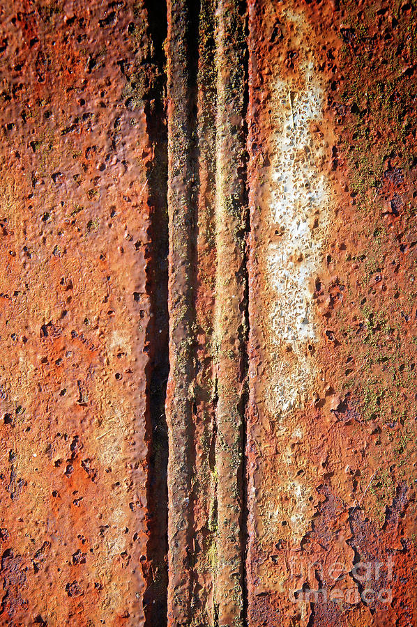 Rusty Metal #47 Photograph by Tom Gowanlock