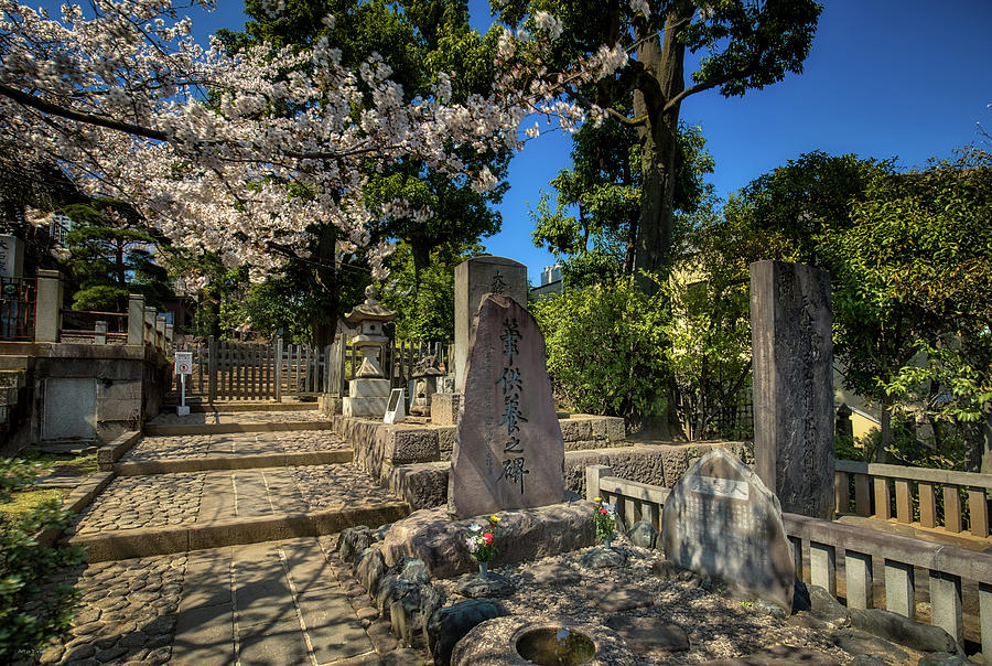 47 Samurai and Cherry Blossoms Photograph by Ross Henton