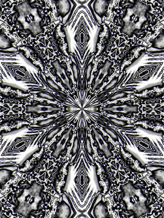 Snowflake #47 Digital Art by Belinda Cox