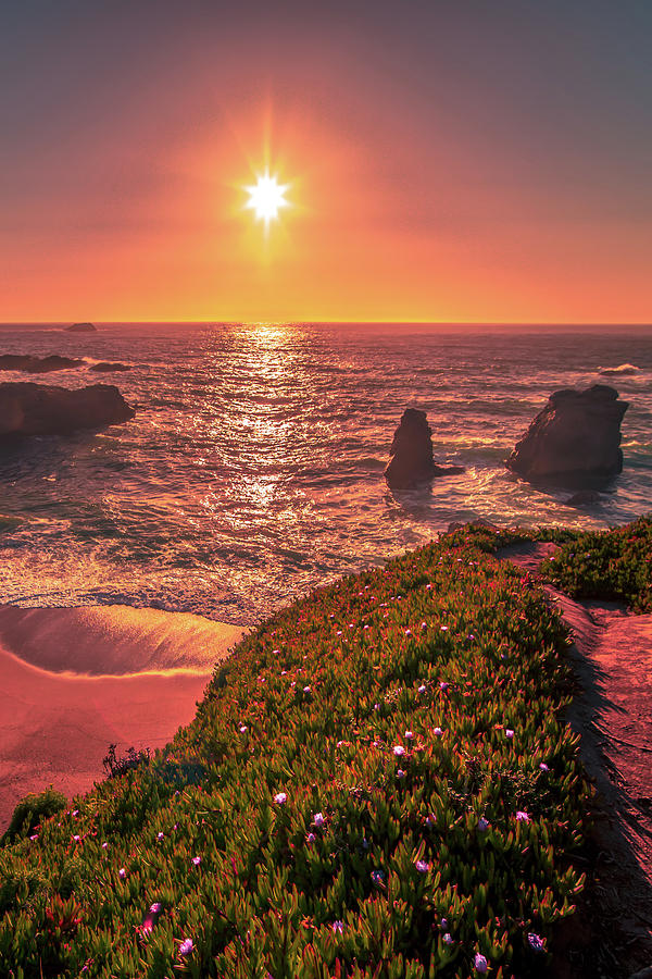 Soberanes point big sur california beautiful sunset #47 Photograph by Alex Grichenko