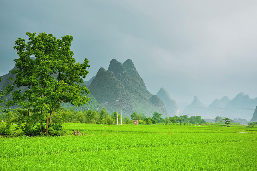 The beautiful karst rural scenery #47 Photograph by Carl Ning