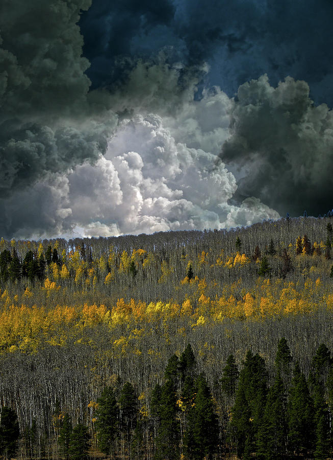 4740 Photograph by Peter Holme III