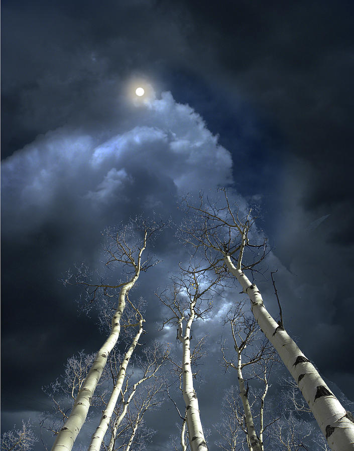 4745 Photograph by Peter Holme III