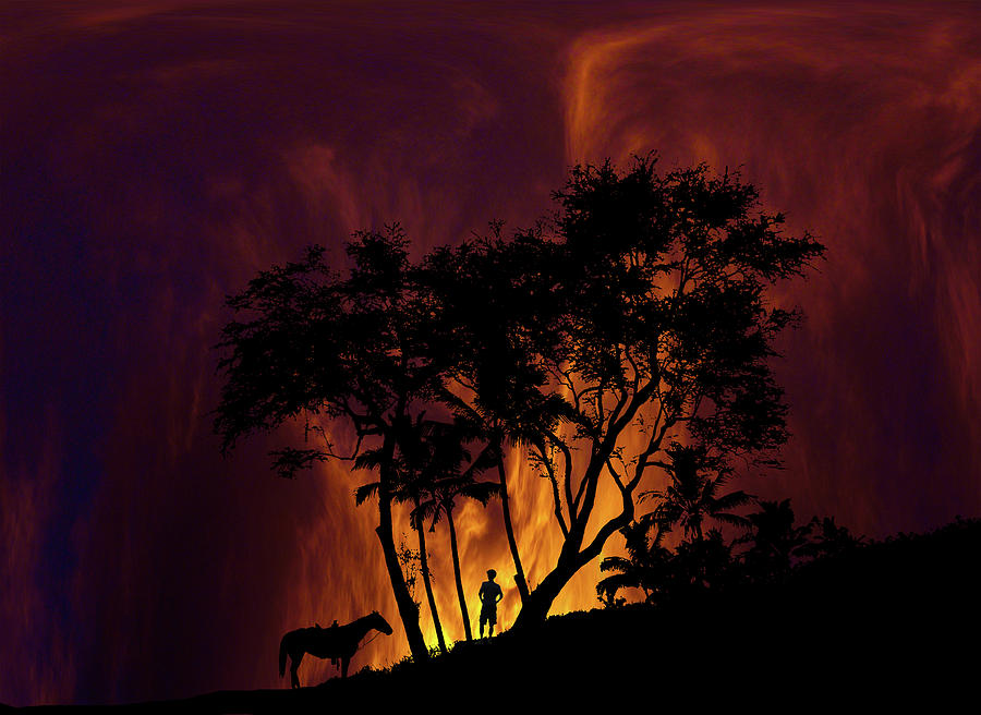 4749 Photograph by Peter Holme III