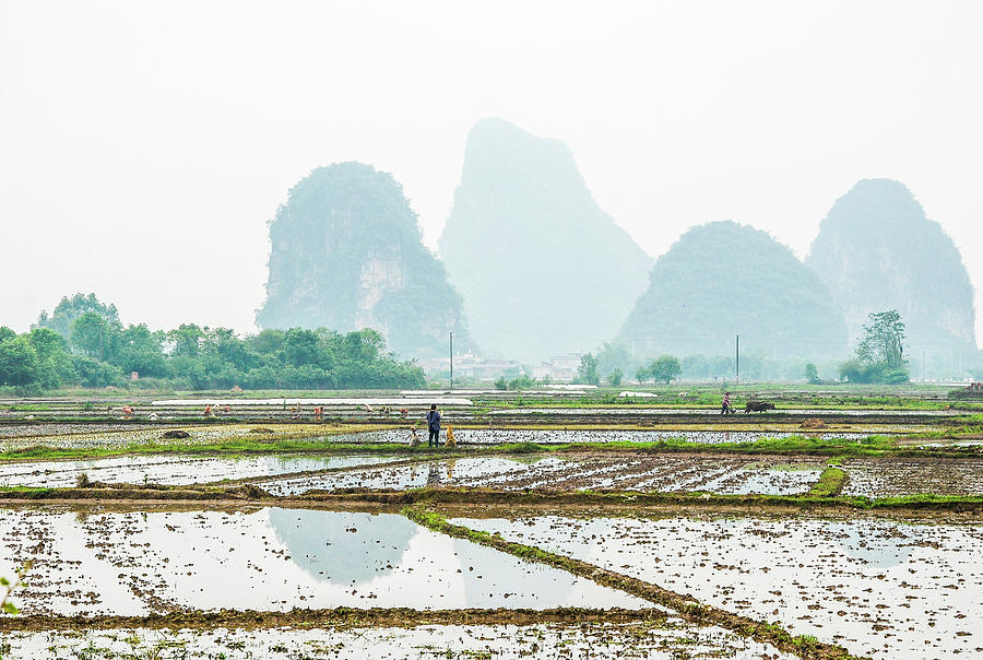 Karst rural scenery in spring #48 Photograph by Carl Ning