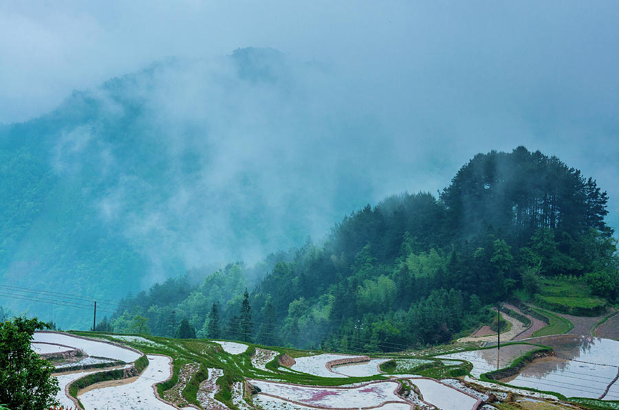 Longji terraced fields scenery #48 Photograph by Carl Ning