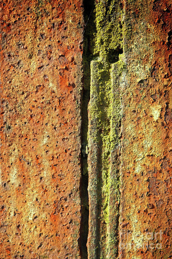 Rusty Metal #48 Photograph by Tom Gowanlock