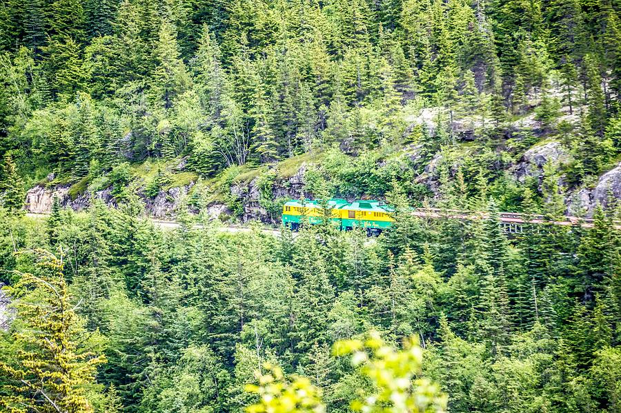 White Pass Mountains In British Columbia #48 Photograph by Alex Grichenko