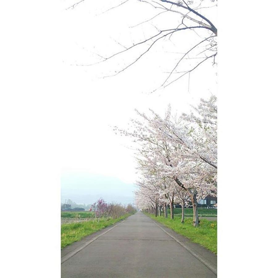 Nature Photograph - Instagram Photo #481463578036 by Yuu Shiratori