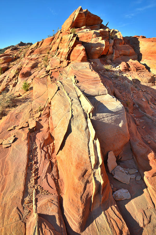 Valley of Fire #481 Photograph by Ray Mathis