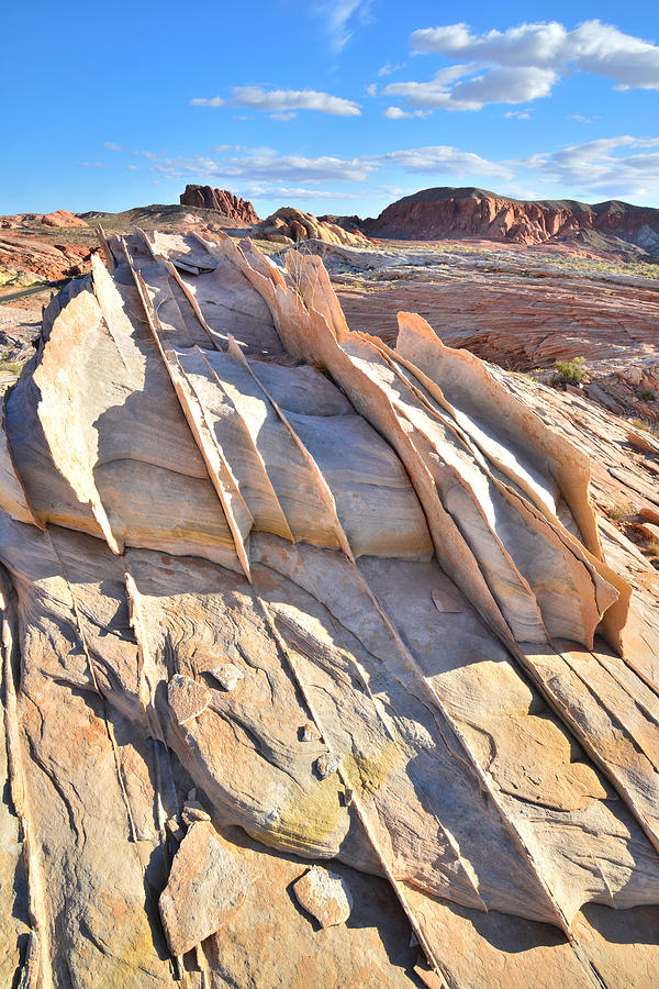 Valley of Fire #419 Photograph by Ray Mathis