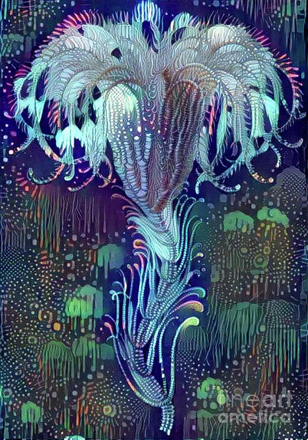 Abstract Jellyfish #49 Digital Art by Amy Cicconi