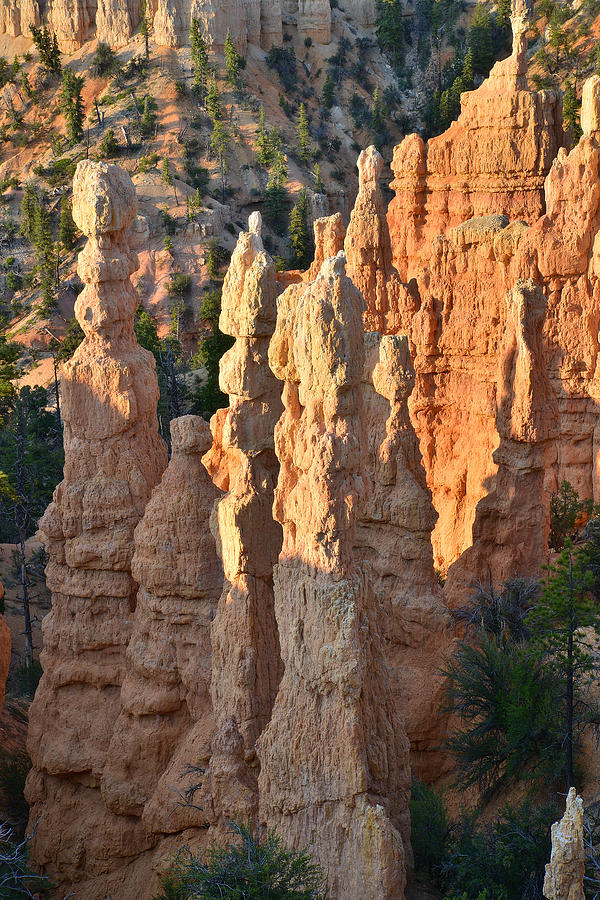 Fairyland Canyon #50 Photograph by Ray Mathis