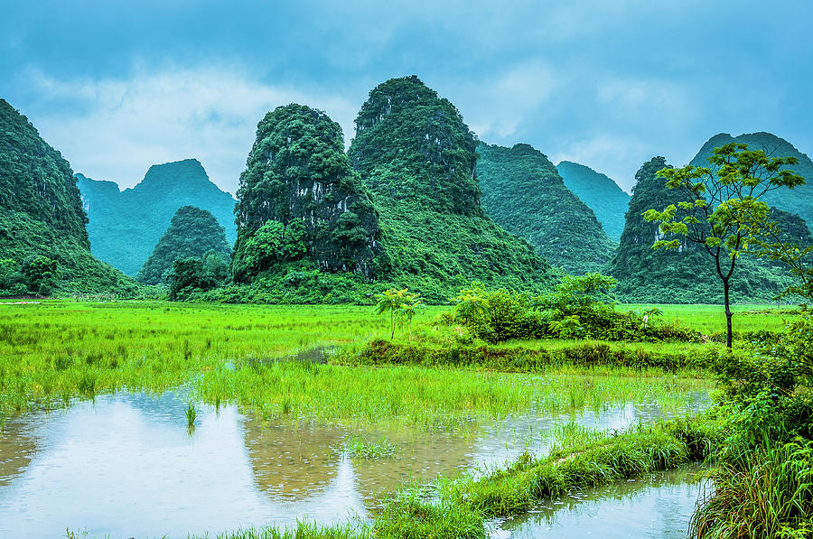 Karst rural scenery in raining Photograph by Carl Ning - Fine Art America