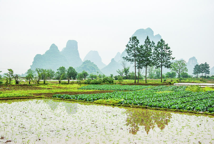 Karst rural scenery in spring #49 Photograph by Carl Ning