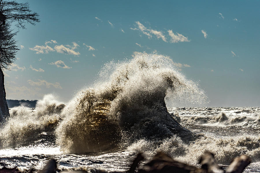Lake Erie Waves #49 Photograph by Dave Niedbala