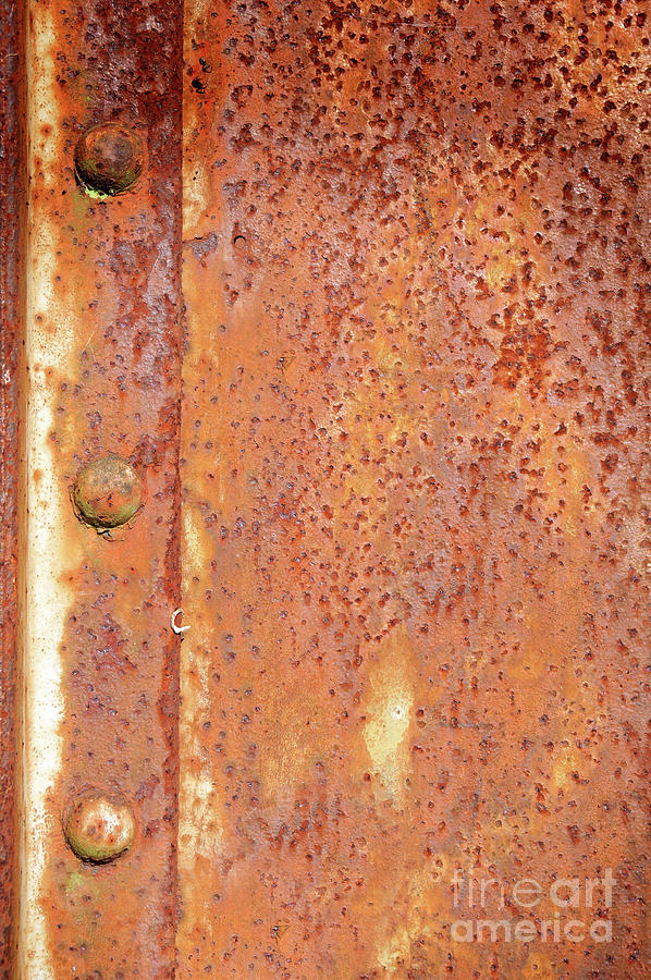 Rusty Metal #49 Photograph by Tom Gowanlock
