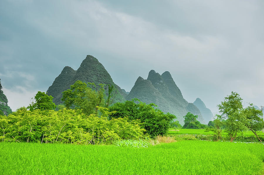 The beautiful karst rural scenery #49 Photograph by Carl Ning